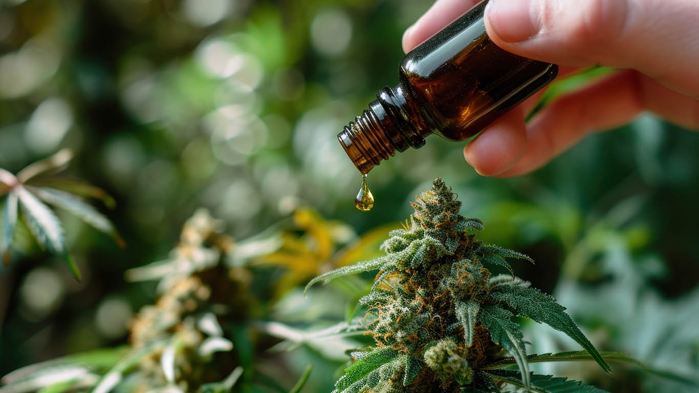 Sustainable Beauty Why Reusable dropper are the future